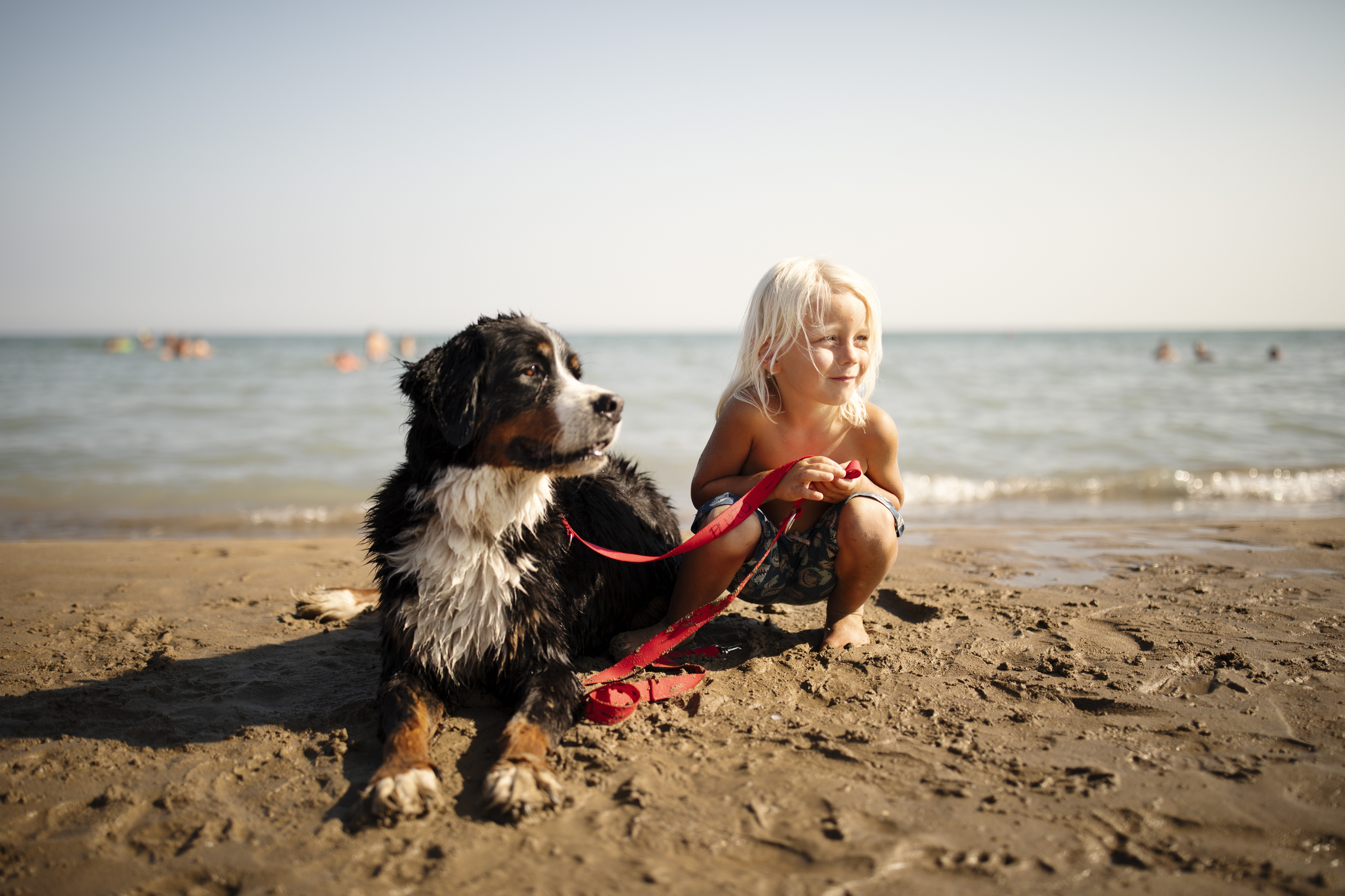 Cane al guinzaglio sulla spiaggia di Bibione con bambino