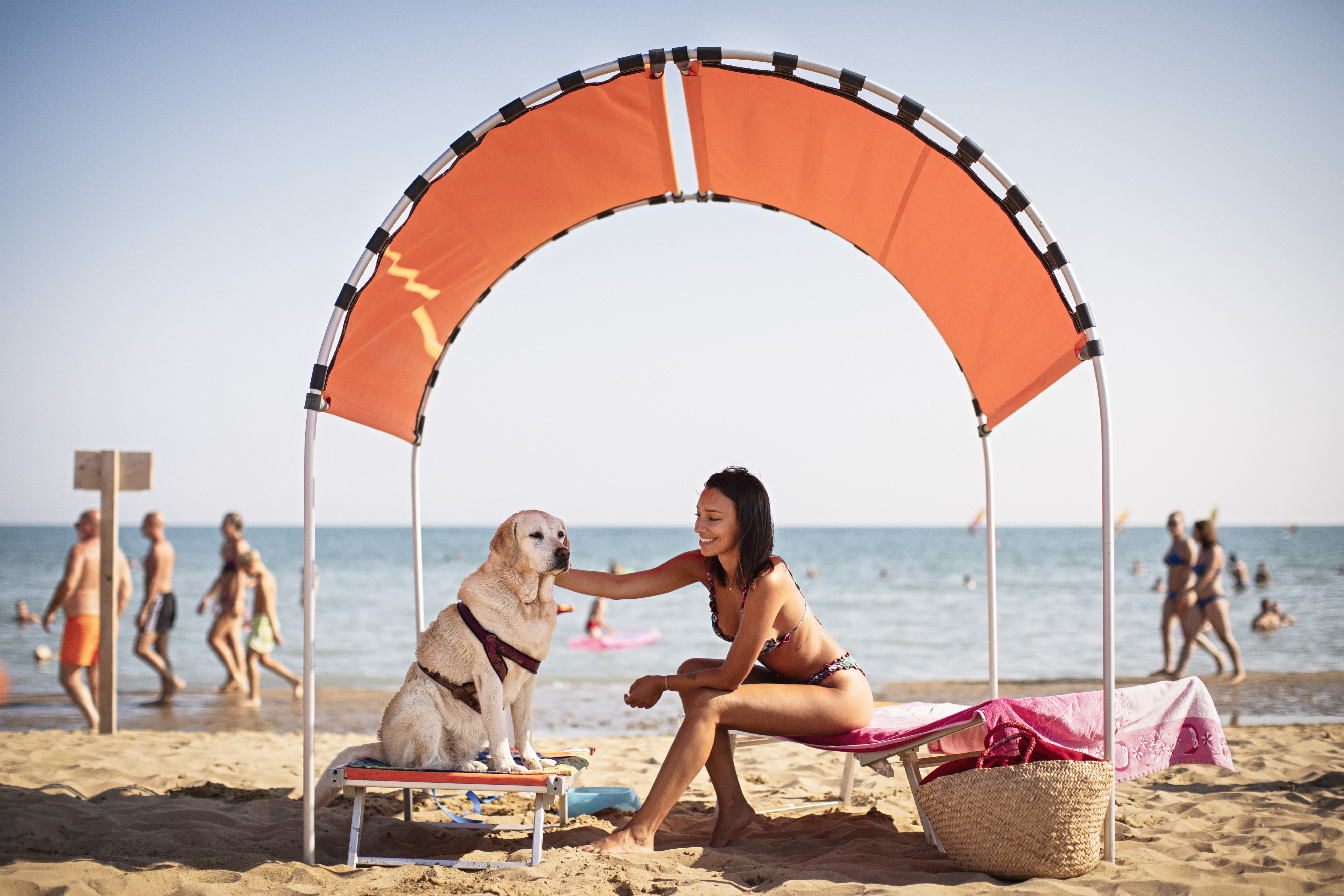Cane sulla sabbia alla Spiaggia di Pluto Bibione